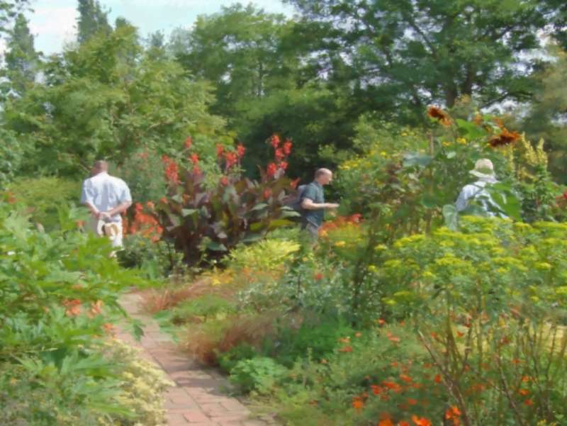 The Hot Garden - Sissinghurst